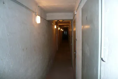 2 150 1400408317 161191 max