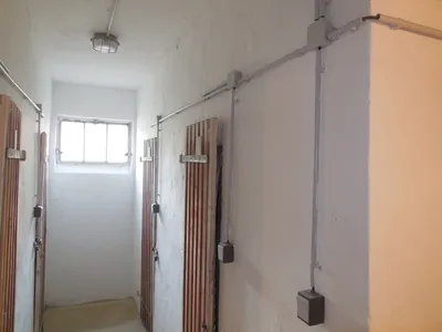 2 155 1491034664 428953 max