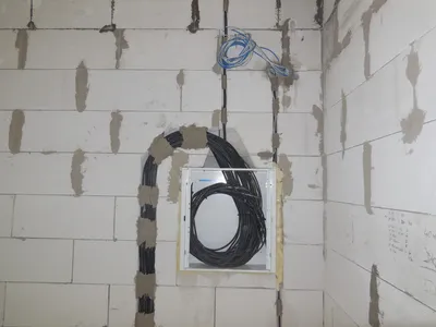 20 102 1494705169 476450 max